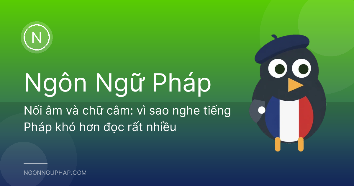 Nối âm và chữ câm: vì sao nghe tiếng Pháp khó hơn đọc rất nhiều