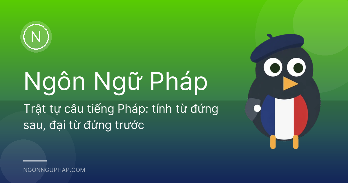 Trật tự câu tiếng Pháp: tính từ đứng sau, đại từ đứng trước